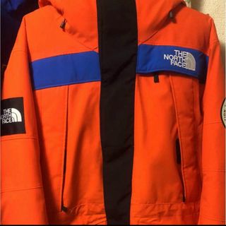 ザノースフェイス(THE NORTH FACE)のthenorthface antarctica parka L(ダウンジャケット)