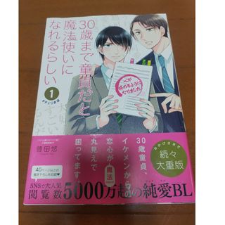 大人気！30歳まで童貞だと魔法使いになれるらしい 　1巻(ボーイズラブ(BL))