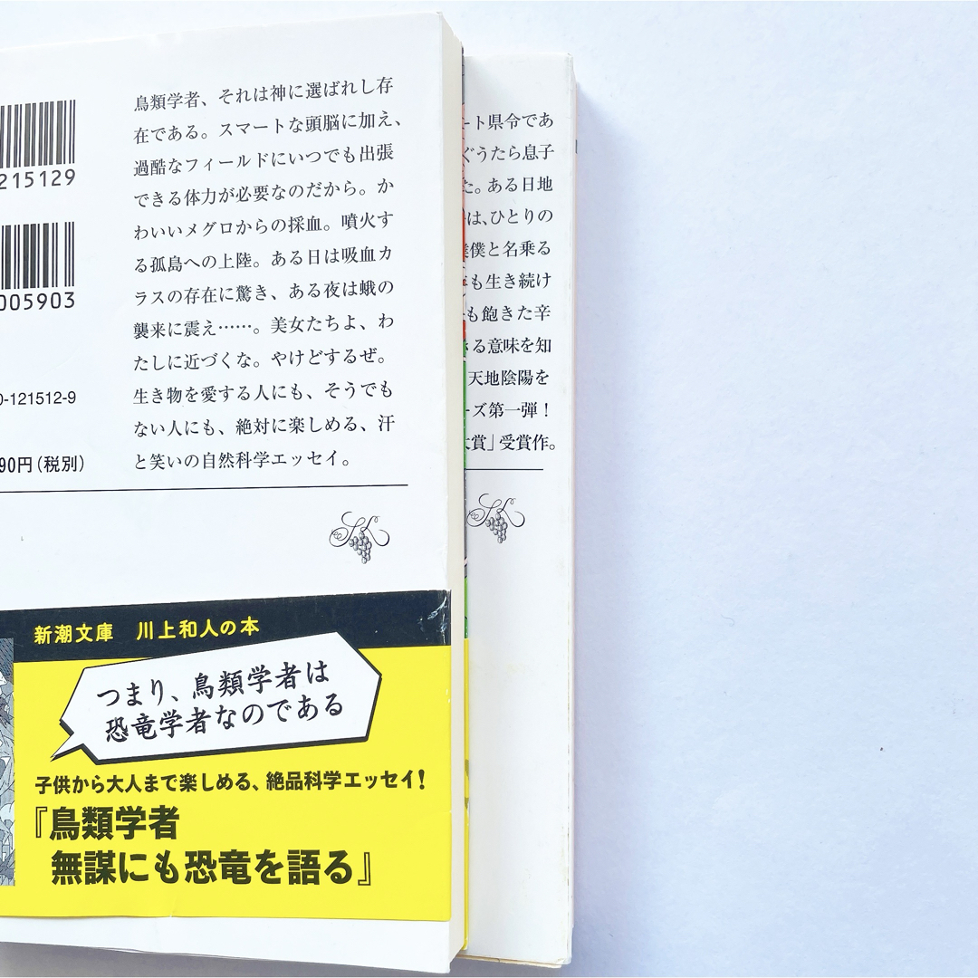 鳥類学者だからって鳥が好きだと思うなよ　僕僕先生　本　小説　文庫　鳥類学者　先生 エンタメ/ホビーの本(その他)の商品写真