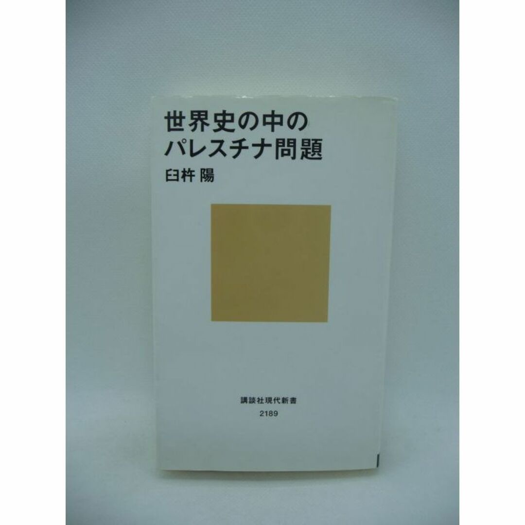 世界史の中のパレスチナ問題　臼杵陽　講談社 エンタメ/ホビーの本(人文/社会)の商品写真