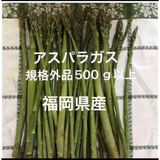 規格外アスパラガス、500グラム以上★福岡県産★(野菜)