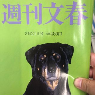 4.30週刊文春 2024年 3/21号 [雑誌](ニュース/総合)