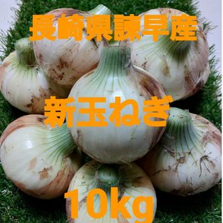 長崎県諫早産新玉ねぎ10kgセール中！！(野菜)