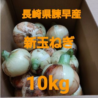 長崎県諫早産新玉ねぎ10kgセール中！！(野菜)