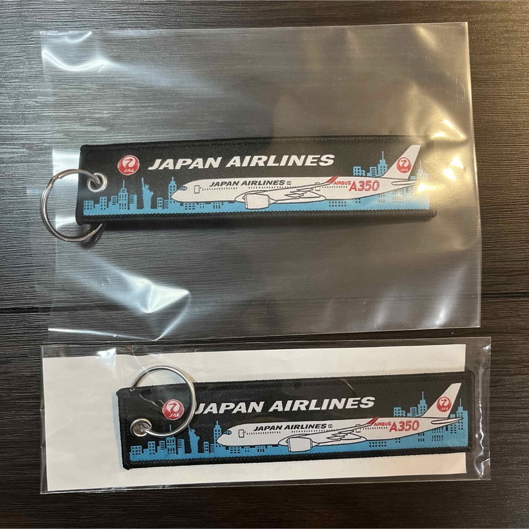 JAL(日本航空)(ジャル(ニホンコウクウ))の【新品未使用】JAL ノベルティ　フライトタグ　キーホルダー　2点セット エンタメ/ホビーのテーブルゲーム/ホビー(航空機)の商品写真