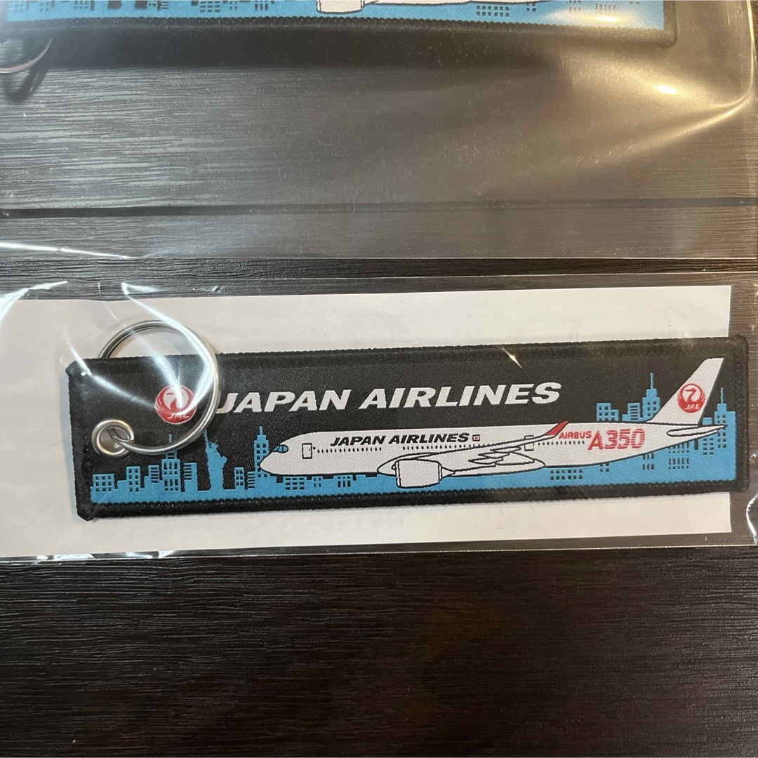 JAL(日本航空)(ジャル(ニホンコウクウ))の【新品未使用】JAL ノベルティ　フライトタグ　キーホルダー　2点セット エンタメ/ホビーのテーブルゲーム/ホビー(航空機)の商品写真