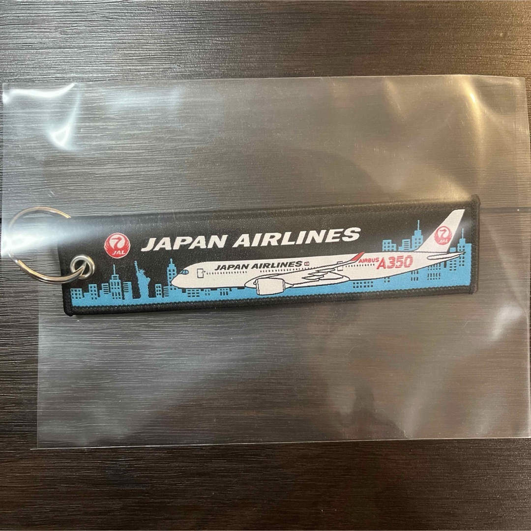 JAL(日本航空)(ジャル(ニホンコウクウ))の【新品未使用】JAL ノベルティ　フライトタグ　キーホルダー　2点セット エンタメ/ホビーのテーブルゲーム/ホビー(航空機)の商品写真