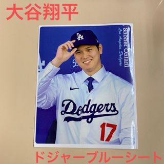 メジャーリーグベースボール(MLB)の大谷翔平ドジャーブルーシート＆切り抜き(スポーツ選手)