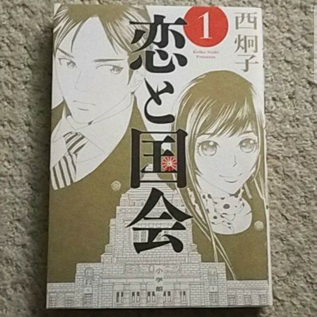 漫画『恋と国会』1巻（西炯子）※まとめ買いで値引きします！ エンタメ/ホビーの漫画(青年漫画)の商品写真