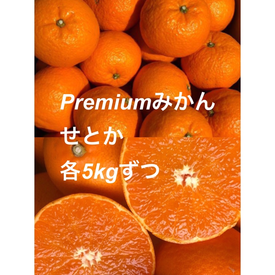 Premiumみかん5kg せとか5kg 食品/飲料/酒の食品(フルーツ)の商品写真