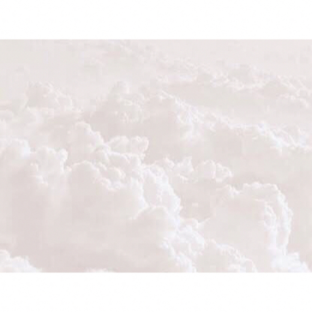 SNOOPY(スヌーピー)のリーメント  スヌーピー　レトロブルックリンスタイル エンタメ/ホビーのフィギュア(その他)の商品写真