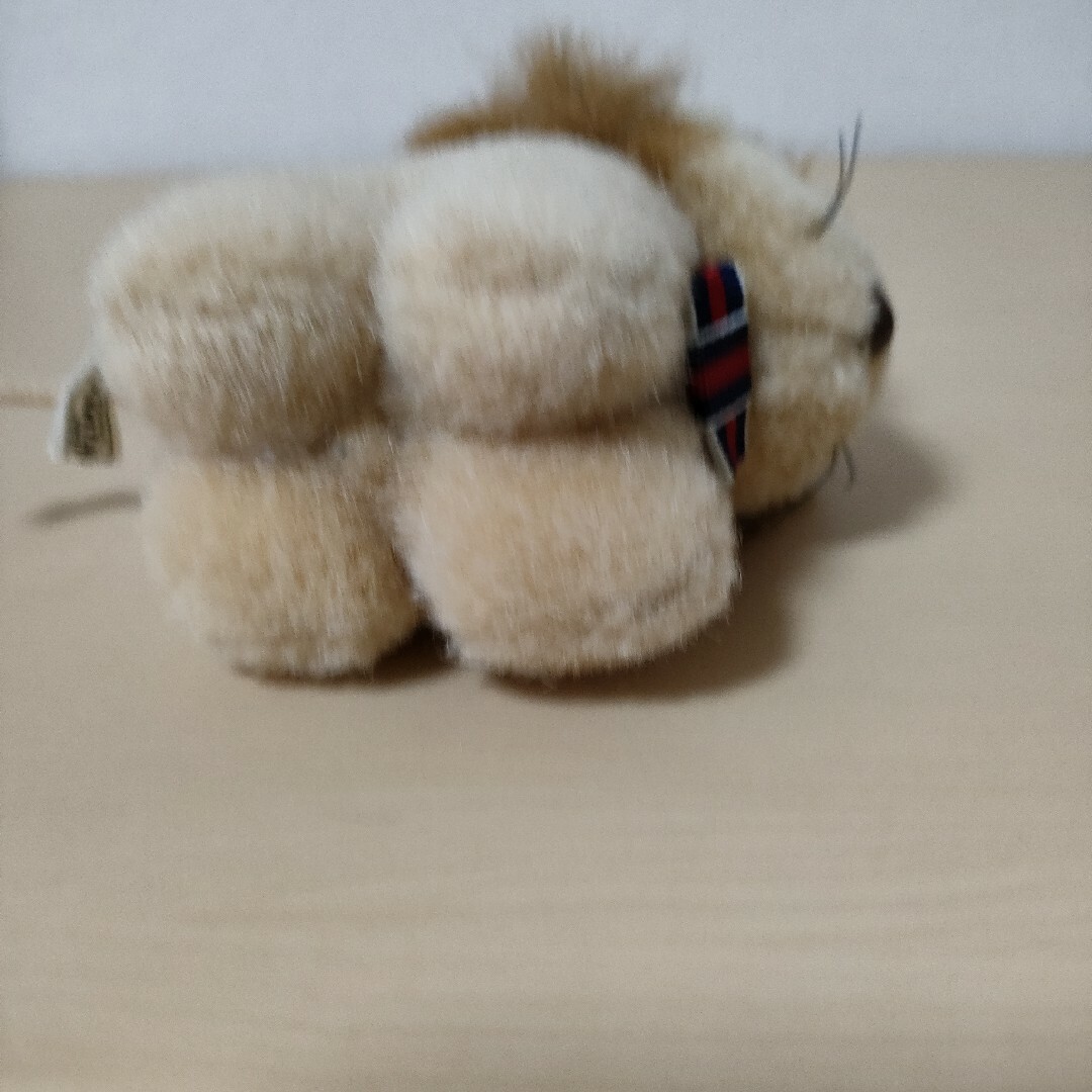 ライオン　ぬいぐるみ　アドベンチャーワールド キッズ/ベビー/マタニティのおもちゃ(ぬいぐるみ/人形)の商品写真