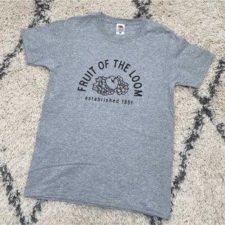 フルーツオブザルーム(FRUIT OF THE LOOM)のFRUIT OF THE LOOM  プリントT(Tシャツ(半袖/袖なし))