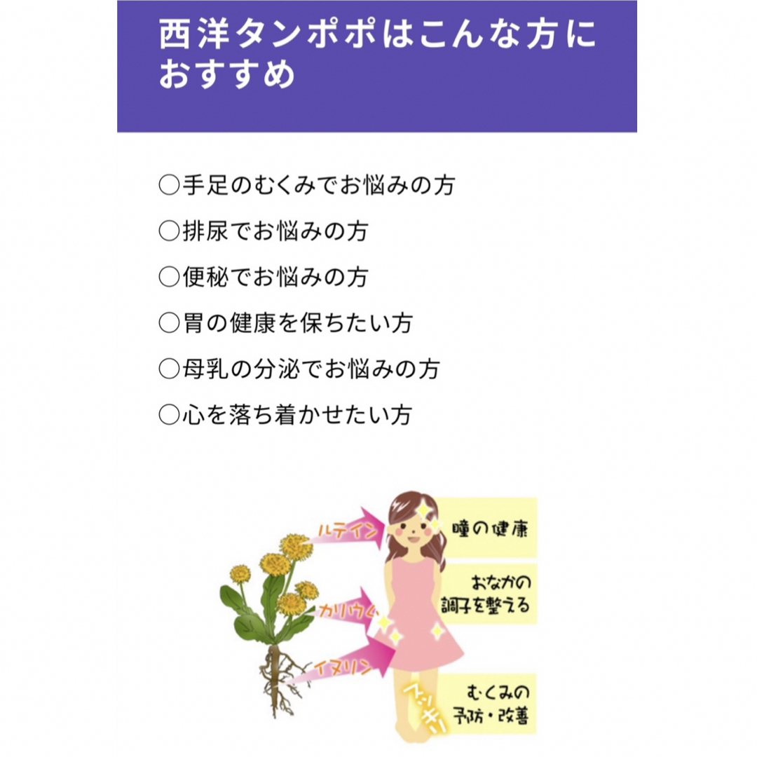 生活の木(セイカツノキ)のマタニティーママへ　母とちちのたんぽぽブレンド ハーブティー 1週間分7TB キッズ/ベビー/マタニティの授乳/お食事用品(その他)の商品写真