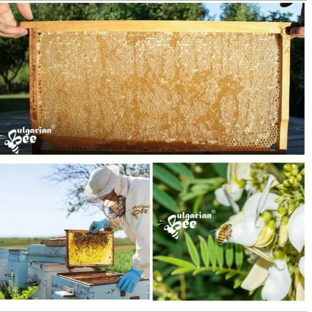 450g生オーガニックラベンダー蜂蜜Organic Lavender Honey 食品/飲料/酒の食品(調味料)の商品写真