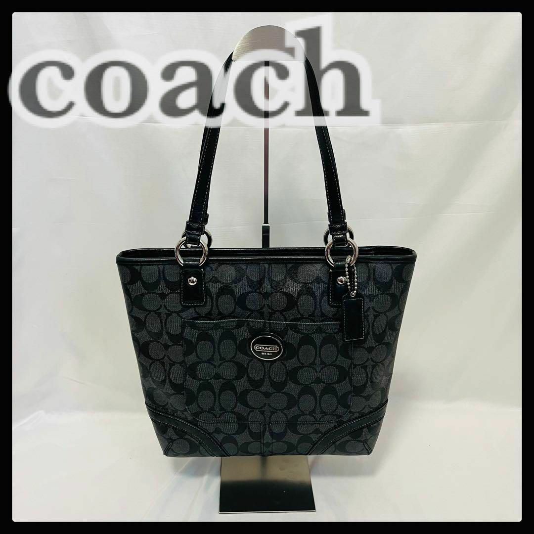 COACH(コーチ)のCOACH トートバッグ　シグネチャー　F18917 PVCレザー　ハンドバッグ レディースのバッグ(トートバッグ)の商品写真