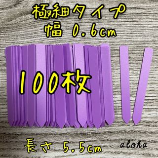 パープル　100枚 多肉植物 アガベ サボテンに◎ 園芸用 ラベル ネームラベル(その他)