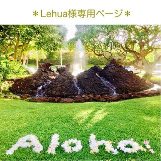 ＊Lehua 様専用ページ＊(イヤリング)