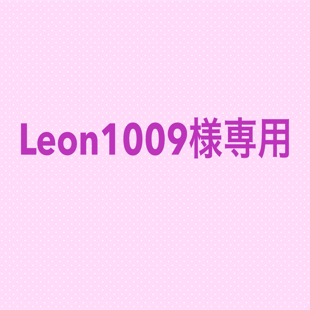 Leon1&09様専用 ハンドメイドの文具/ステーショナリー(カード/レター/ラッピング)の商品写真