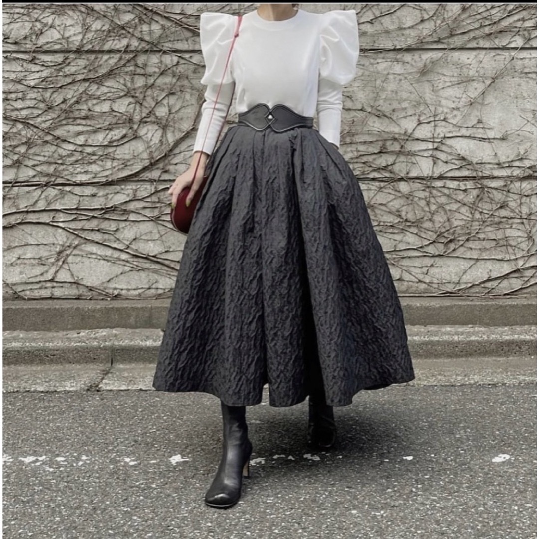 シーニュ cygne ジャガードスカート レディースのスカート(ロングスカート)の商品写真