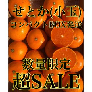 愛媛県産 みかん 高級柑橘 せとか コンパクトBOX発送 柑橘 ミカン 果物(フルーツ)