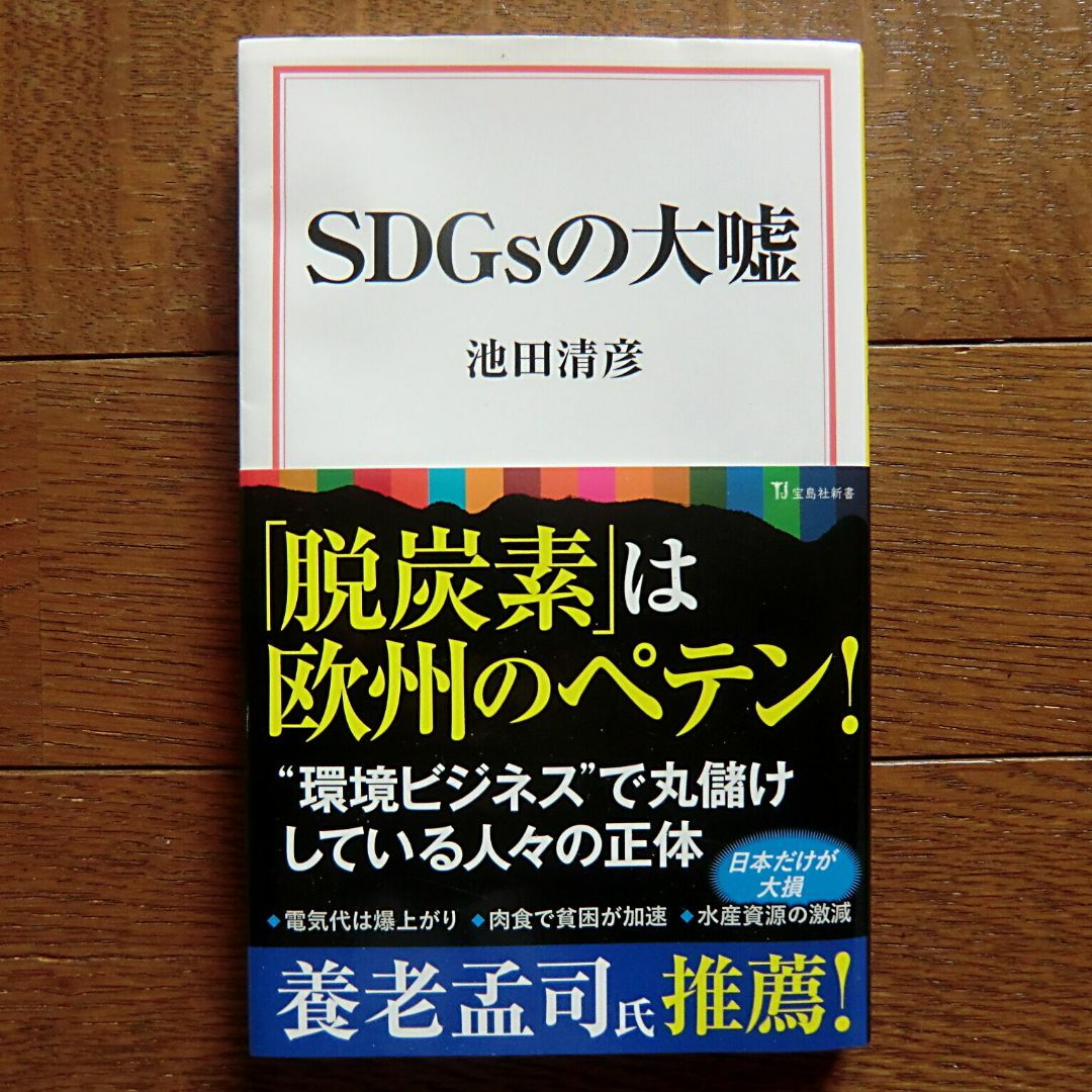 宝島社(タカラジマシャ)のSDGsの大嘘 池田晴彦 エンタメ/ホビーの本(ノンフィクション/教養)の商品写真