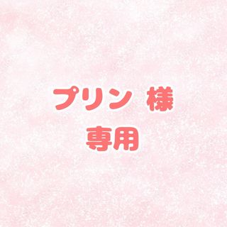 プリン様専用 婚姻届 提出1保存1(その他)