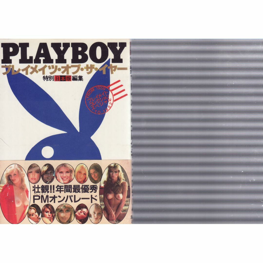 PLAYBOYプレイメイツ・オブ・サ・イヤー＆コレクション　値下再値下しました エンタメ/ホビーの本(アート/エンタメ)の商品写真