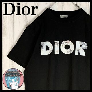 クリスチャンディオール(Christian Dior)の【最高級の逸品】ディオール×ダニエルアーシャム コラボ センターロゴ Tシャツ(Tシャツ/カットソー(半袖/袖なし))