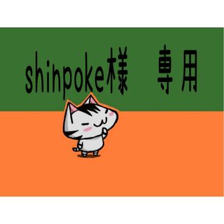 shinpoke様　専用(その他)