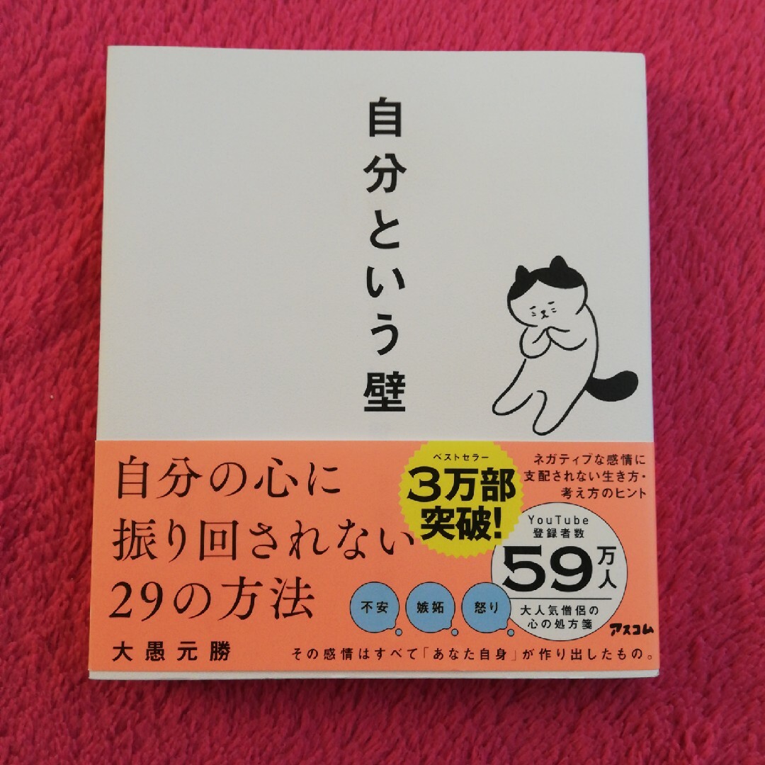 自分という壁　自分の心に振り回されない２９の方法 エンタメ/ホビーの本(その他)の商品写真