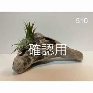 流木【510】(置物)