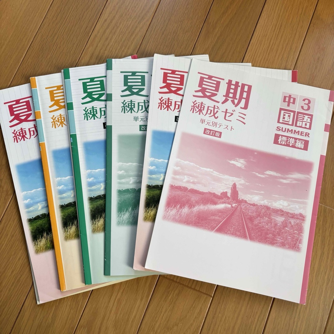 夏期 練成ゼミ  中3  国 英 社  標準編  まとめ売り‼️ エンタメ/ホビーの本(語学/参考書)の商品写真