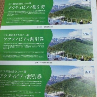 日本駐車場開発株主優待券6冊(その他)