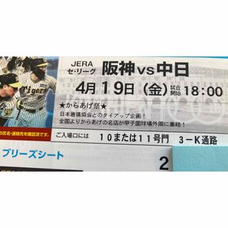 ハンシンタイガース(阪神タイガース)の4/19(金)甲子園　阪神中日ブリーズシート通路横ペア(野球)