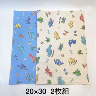 ランチョンマット　20×30  2枚組　☆恐竜☆  No.1067(外出用品)