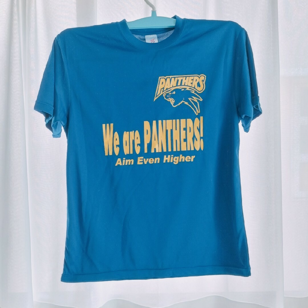 PANTHERS Ｔシャツ スポーツ/アウトドアのスポーツ/アウトドア その他(バレーボール)の商品写真