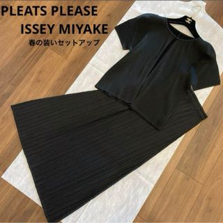 プリーツプリーズイッセイミヤケ(PLEATS PLEASE ISSEY MIYAKE)の美品　PLEATS PLEASEプリーツプリーズ　春の装いセットアップ　ブラック(セット/コーデ)