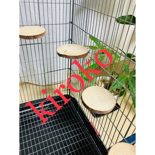 No.155  円形ステージ　Mサイズ4枚セット　ステップ　小動物用　天然木(小動物)