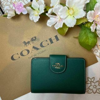 COACH 二つ折り グリーン 緑 シンプル ベルトロゴ(財布)