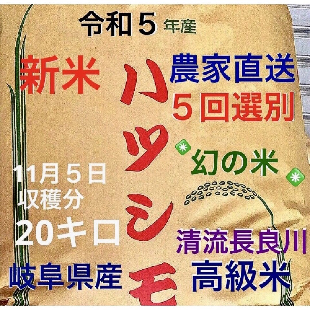 採れたて新米✳️令和５年産✳️５回色彩選別・有機肥料・送料無料ハツシモ20キロ 食品/飲料/酒の食品(米/穀物)の商品写真