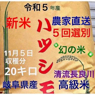 令和5年収穫】近江のお米 20kg（10kg×2本）の通販 by new【近江米