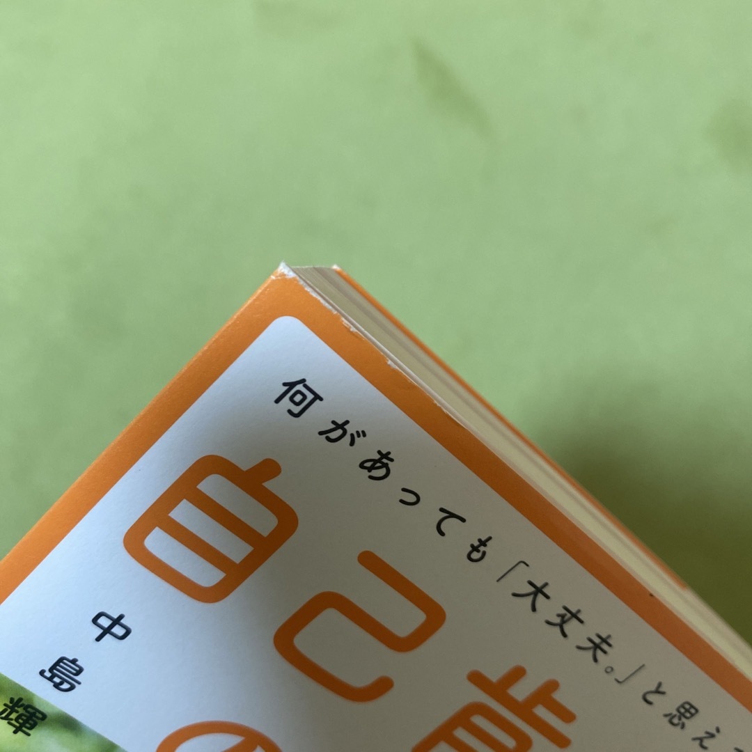 自己肯定感の教科書 エンタメ/ホビーの本(人文/社会)の商品写真