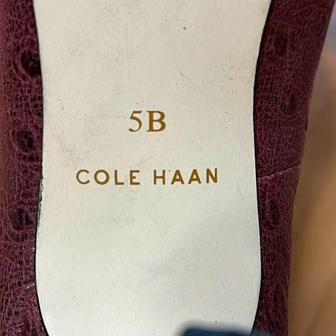 ZEROGRAND（COLE HAAN）(ゼログランド)のコールハーン パンプス グランドシリーズ 本革 ピンクブラウン レディースの靴/シューズ(ハイヒール/パンプス)の商品写真
