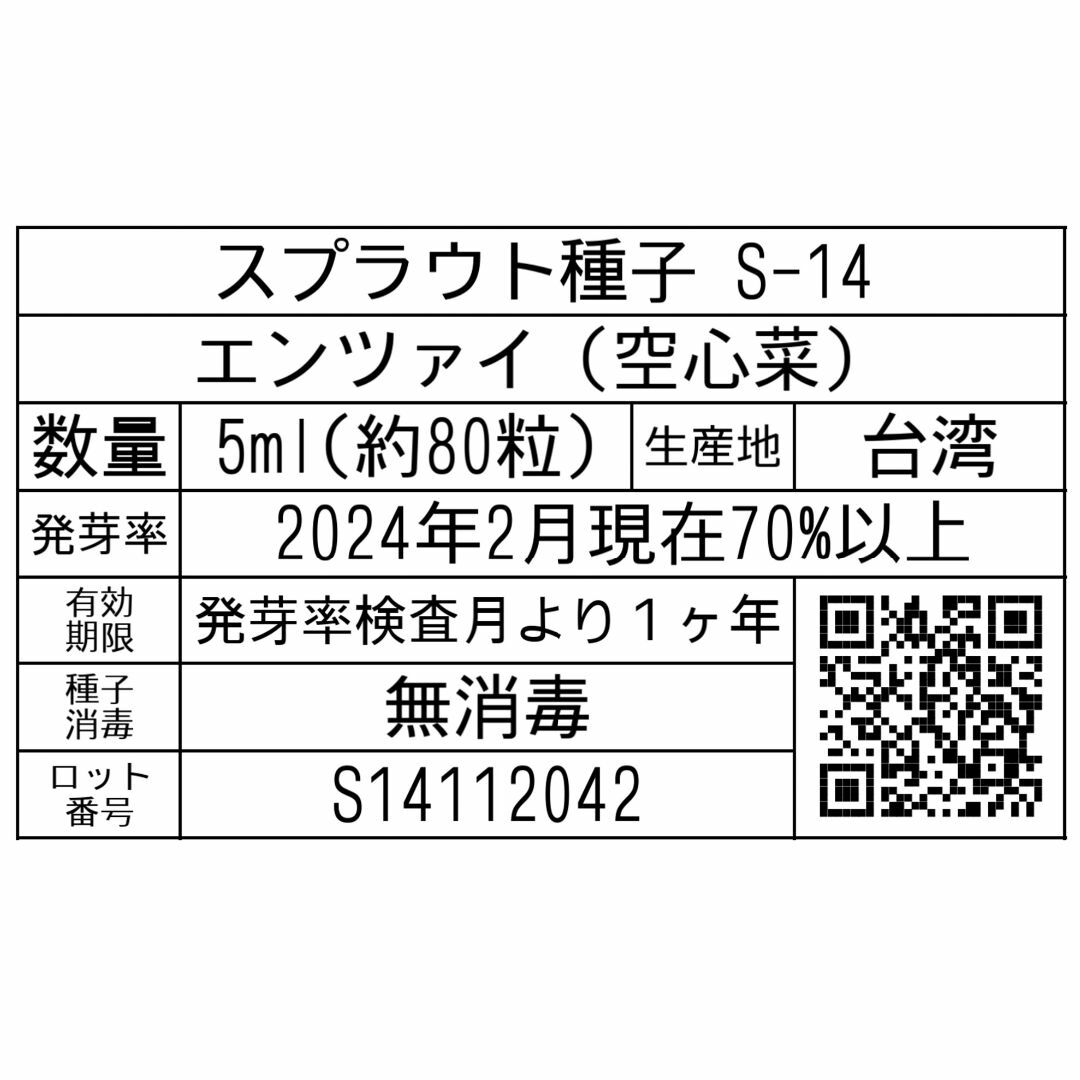 スプラウト種子 S-14 エンツァイ（空心菜） 5ml 約80粒 x 2袋 食品/飲料/酒の食品(野菜)の商品写真