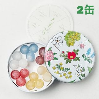 ロッカテイ(六花亭)の六花亭 六花のつゆ (18個入り) ミニ2缶セット ボンボン(菓子/デザート)