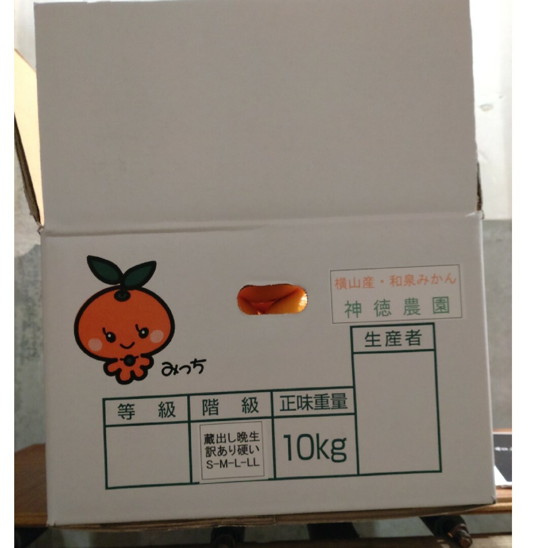 蔵出し熟成和泉みかん中玉小玉5kg 食品/飲料/酒の食品(フルーツ)の商品写真