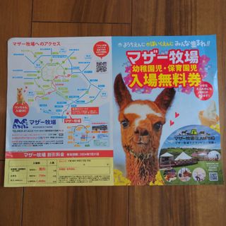 マザー牧場　割引券　無料券(遊園地/テーマパーク)