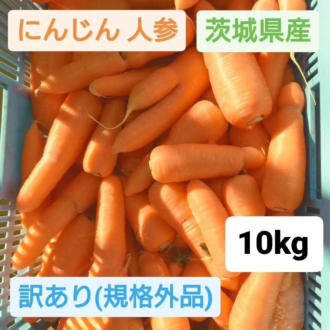 にんじん 人参 規格外品 10㎏ 送料込 茨城県産 農家直送 ジュース用 加工用 食品/飲料/酒の食品(野菜)の商品写真