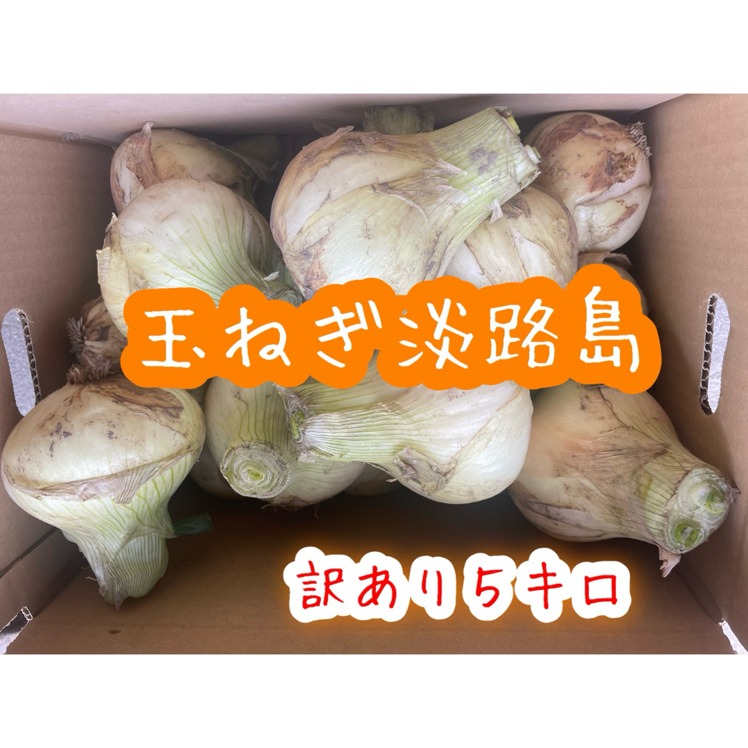 新玉ねぎ淡路島　訳あり５キロ 食品/飲料/酒の食品(野菜)の商品写真